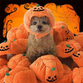 Funny Pumpkin Pet Hat - Cute Halloween Costume For Pets