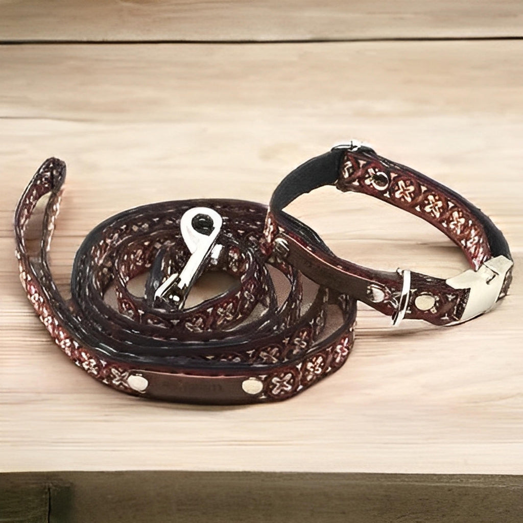 Finnigan's Bespoke Pup Collar Set
